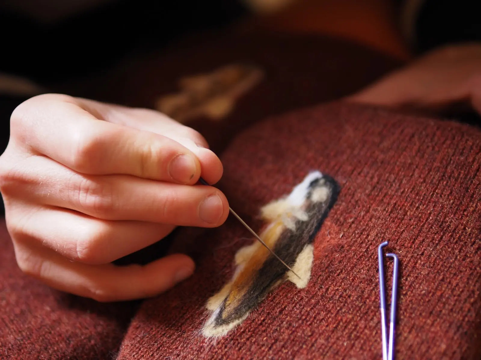 Forager Provisions Chats To LowTideJoe