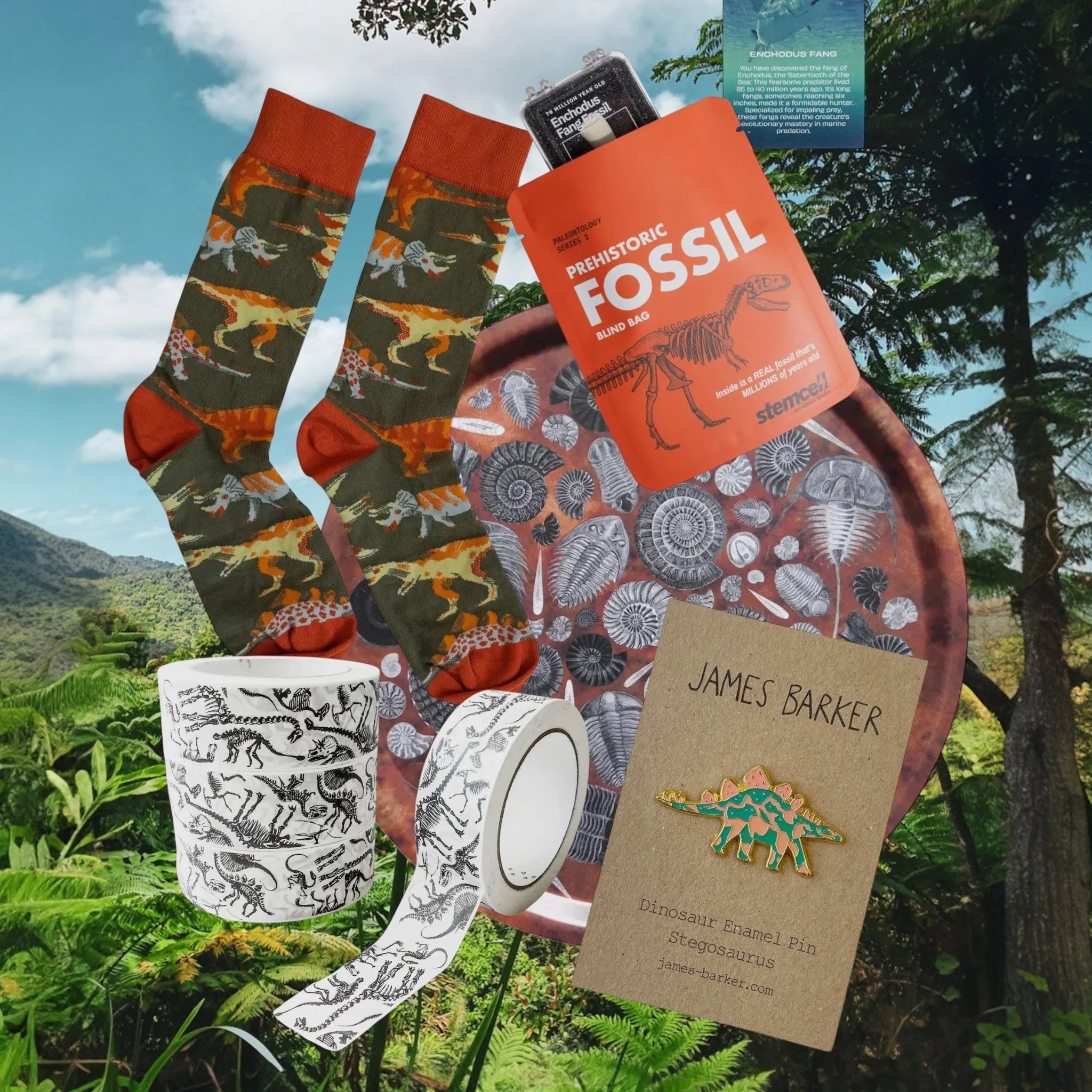 Seven labeled fossil display cases: Mosasaurus tooth, Dino bone, Crow shark tooth, insect in amber, Mystery Fossil and more.