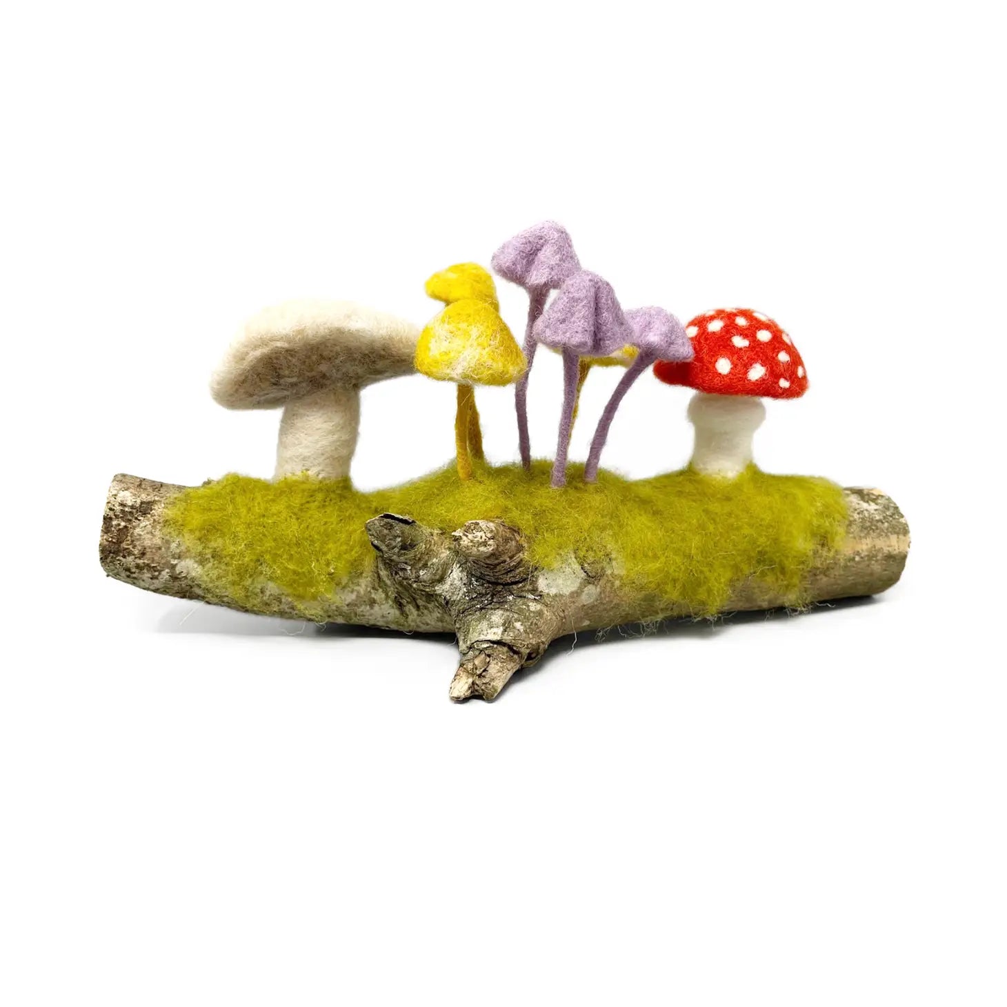 The Mushroom Collection