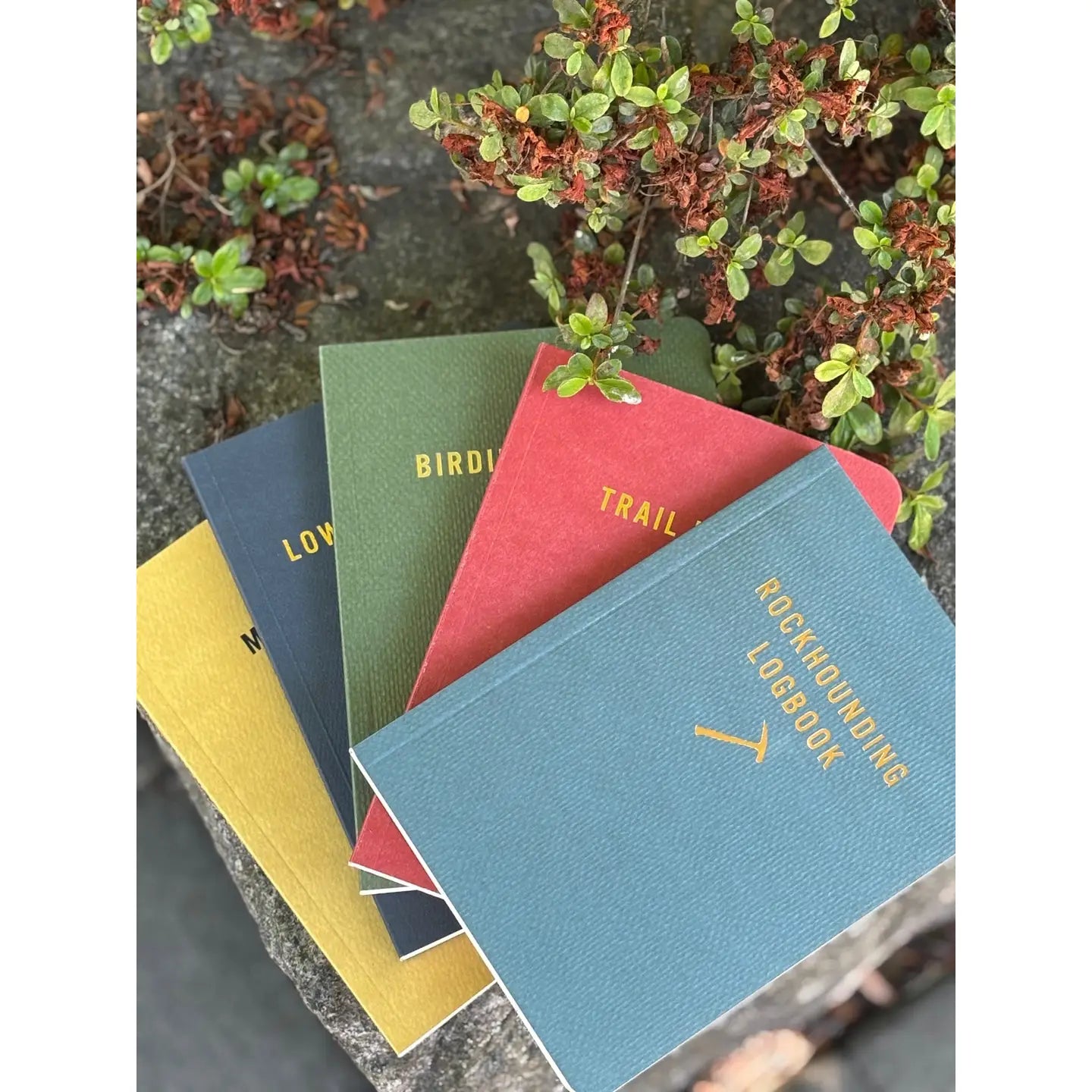 Mountaineer Books - Low Gravity Days (Climbing) Notepad