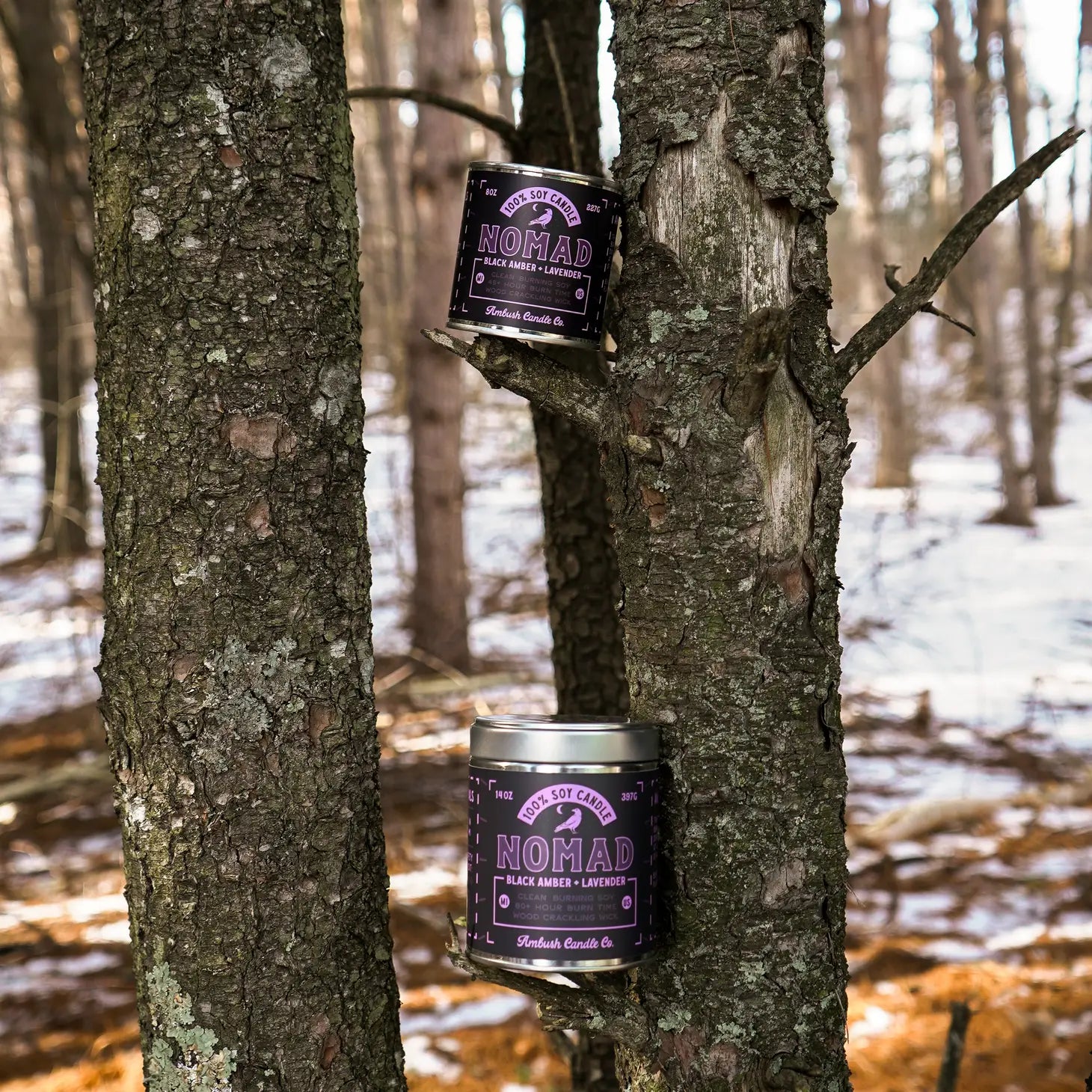A tin candle labeled "Ambush Candle Co 14OZ Nomad Black Amber & Lavender," crafted from clean-burning soy wax, is nestled between two tree trunks in a serene forest setting.