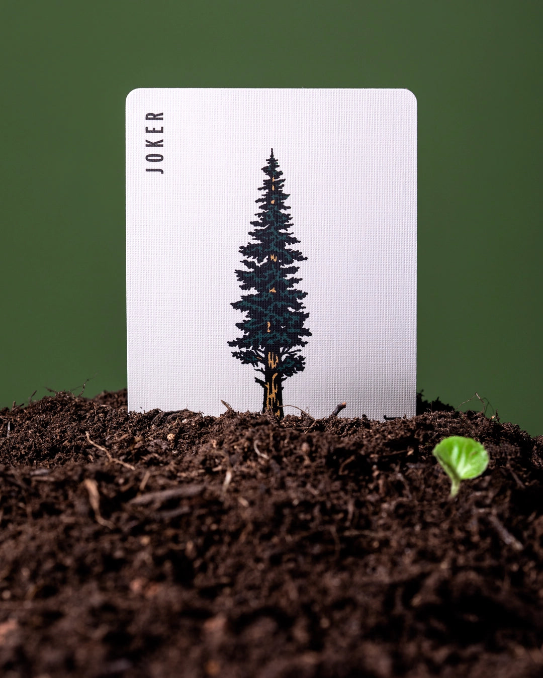 Art of Play Smokey Bear Joker card in soil next to sprout, highlighting nature conservation and eco-friendly playing cards.