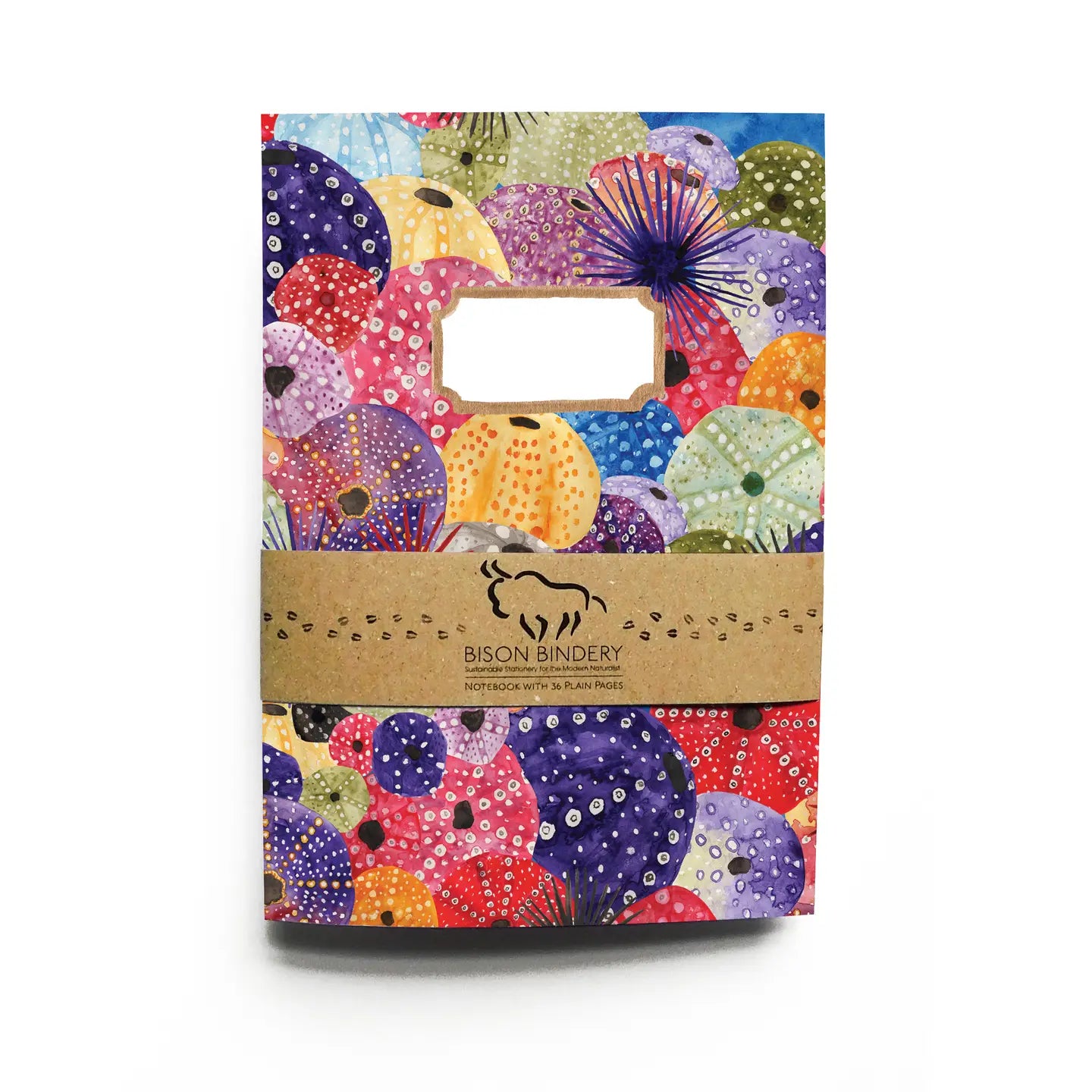 Bison Bindery A5 Recycled 36-Page Plain Notepad - Echinozoa Sea Urchin