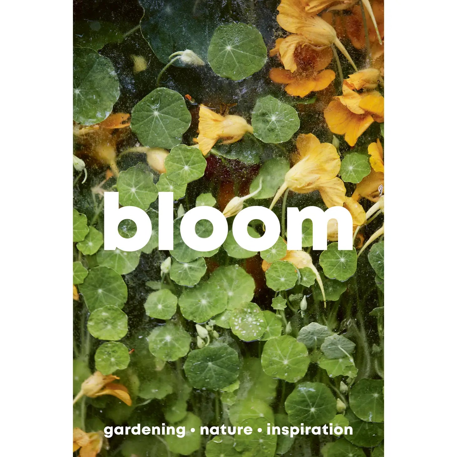 Close-up of green leaves and yellow flowers with the word "Bloom Zine Issue 15 Autumn/Winter 2023" written in bold white text. Below, it says "zero-waste garden • nature • inspiration".