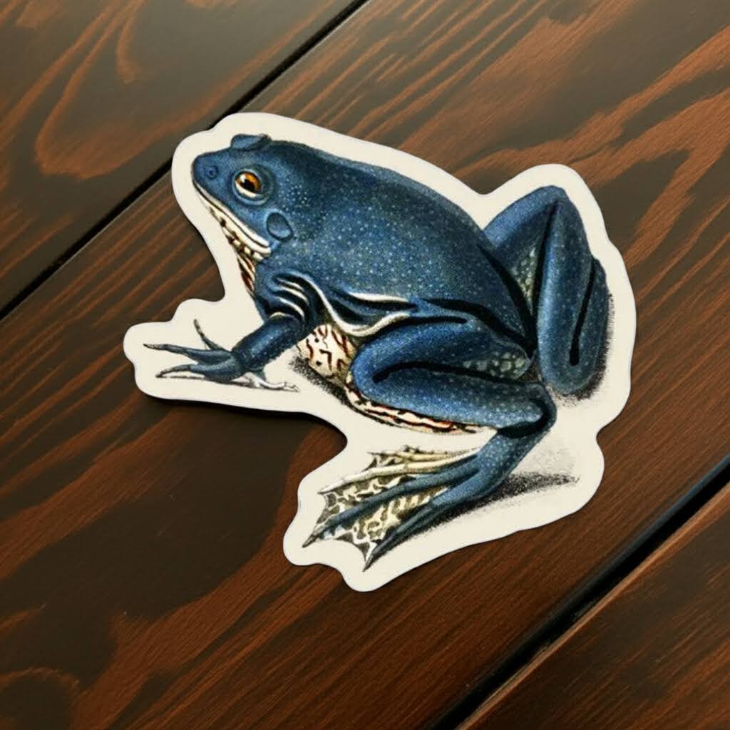 Forager Provisions LTD Stay Home Club exasperated frog vinyl sticker with detailed blue illustration on wood surface