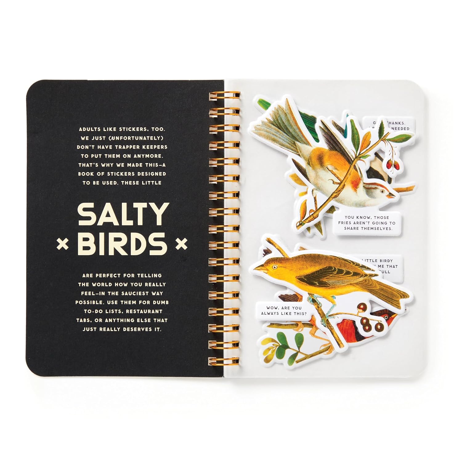Open Brass Monkey Salty Birds Sticker Book with colorful bird stickers and bold “Salty Birds” text on left page, desk background.