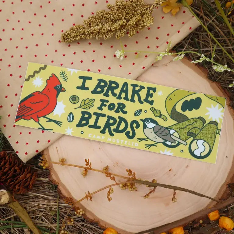 Camp Mustelid “I Brake For Birds” bumper sticker featuring vibrant cardinal art, perfect birdwatcher or birder gift idea.