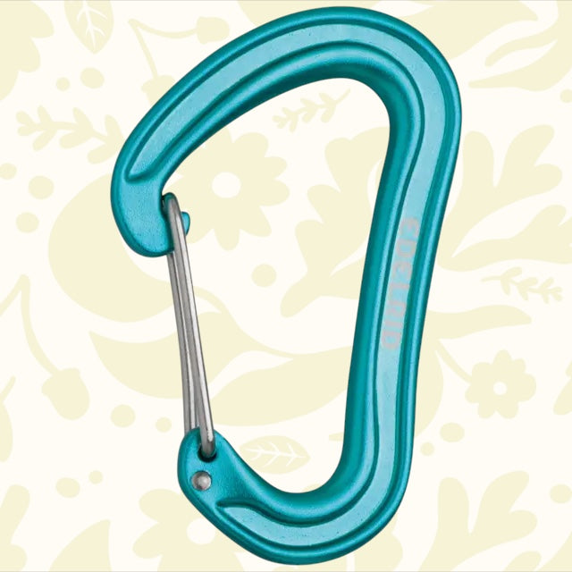 Introducing the Edelrid Carabiner Quick Draw Nineteen G in Icemint, a lightweight climbing carabiner featuring a silver wire gate. Crafted from durable aluminium alloy, it boasts a sleek design with a slight curve.