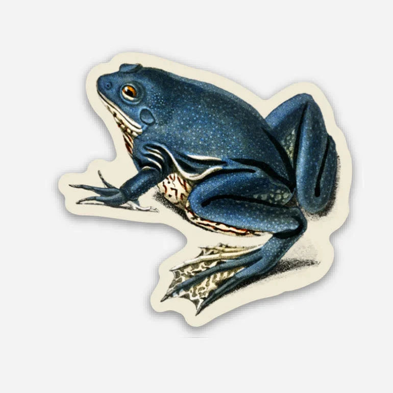 Forager Provisions LTD Stay Home Club vinyl sticker featuring a detailed blue exasperated frog illustration