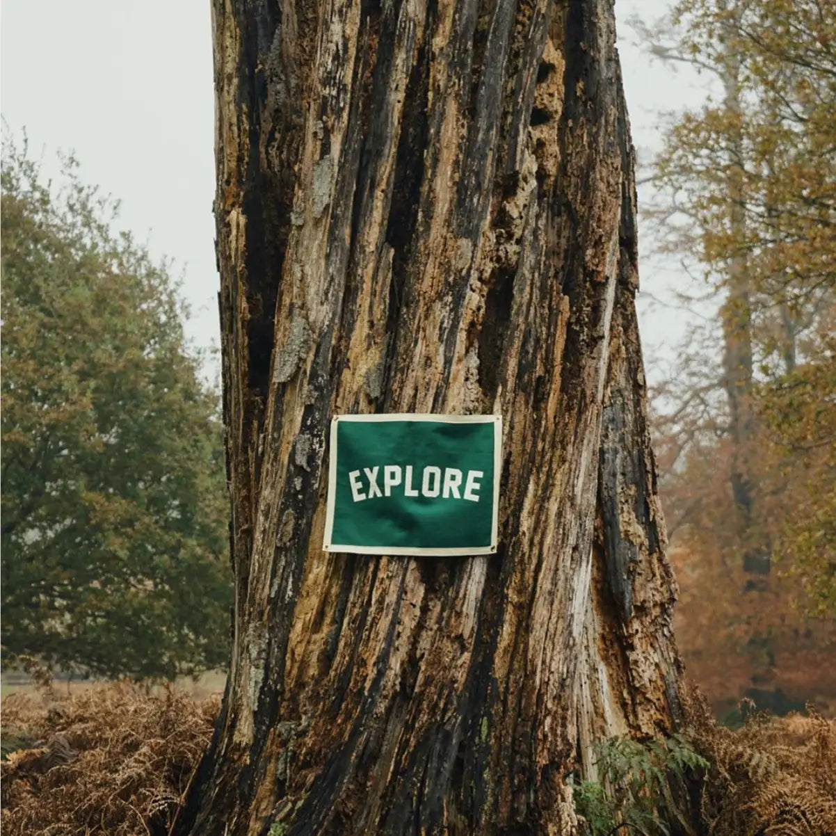 Oxford Pennant EXPLORE camp banner flag on tree in forest, outdoor camping decor, adventure travel sign for nature lovers.