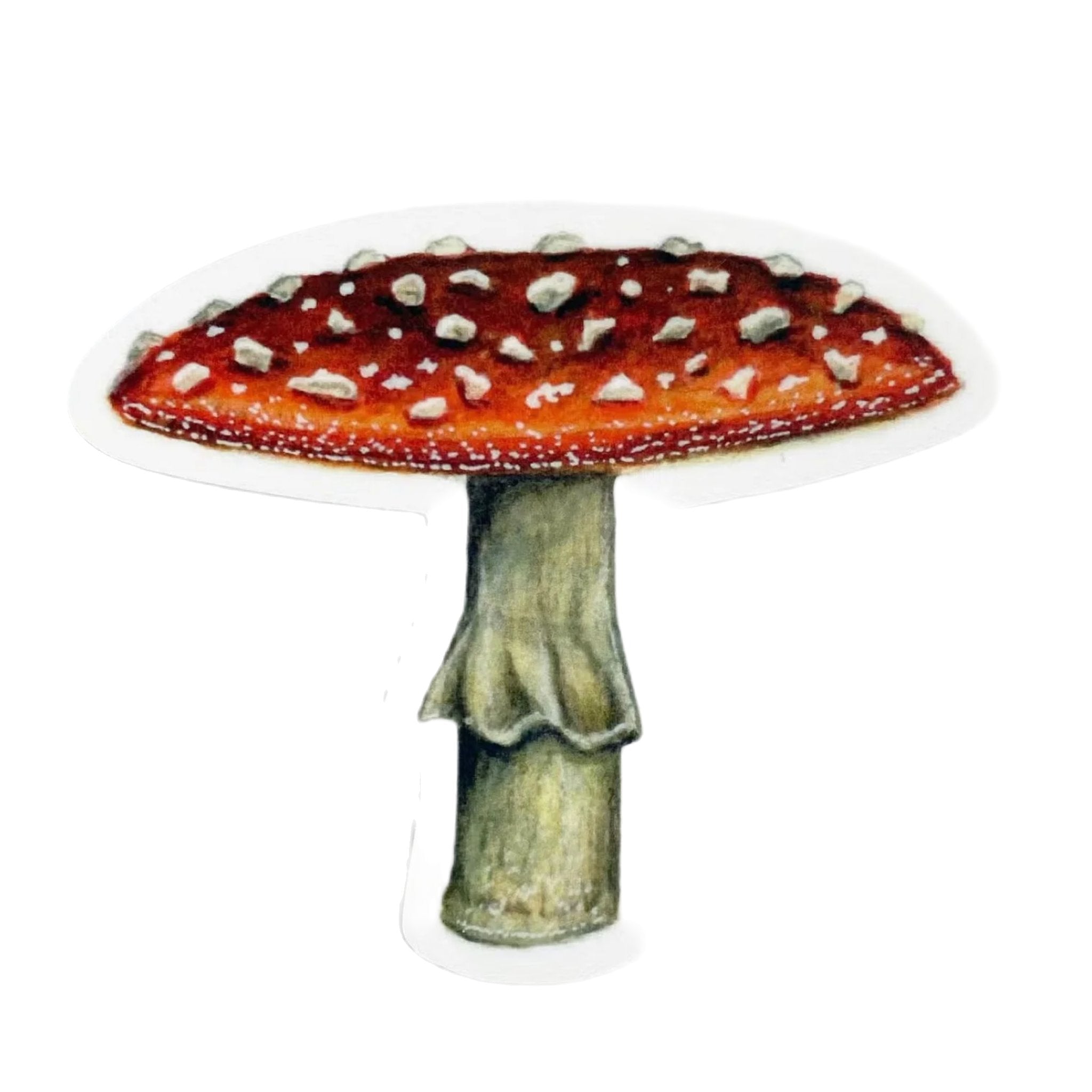 Illustration of a red-capped mushroom with white spots and a beige stem, displayed on a white background, perfectly printed on durable vinyl as The Wild Wander Mushroom Sticker.