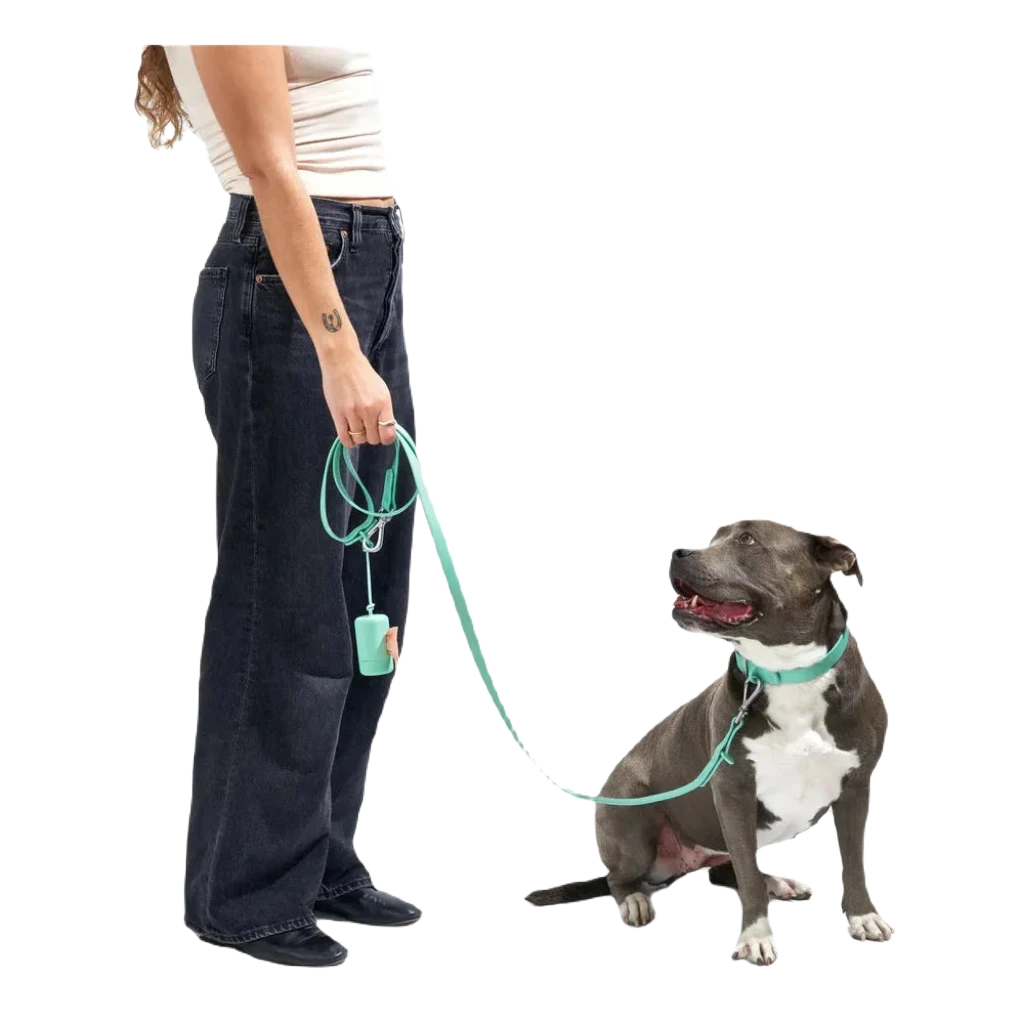 A Spruce-colored Wild One adjustable waterproof dog leash, featuring multiple length adjustments and a metal clasp, coiled neatly on a white surface. Crafted from all-weather materials, it pairs perfectly with a matching collar or harness.