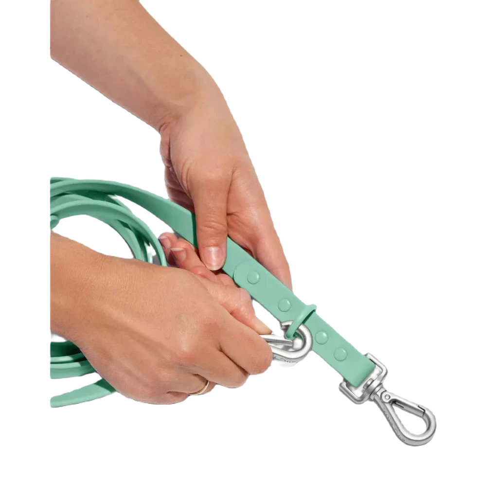 A Spruce-colored Wild One adjustable waterproof dog leash, featuring multiple length adjustments and a metal clasp, coiled neatly on a white surface. Crafted from all-weather materials, it pairs perfectly with a matching collar or harness.
