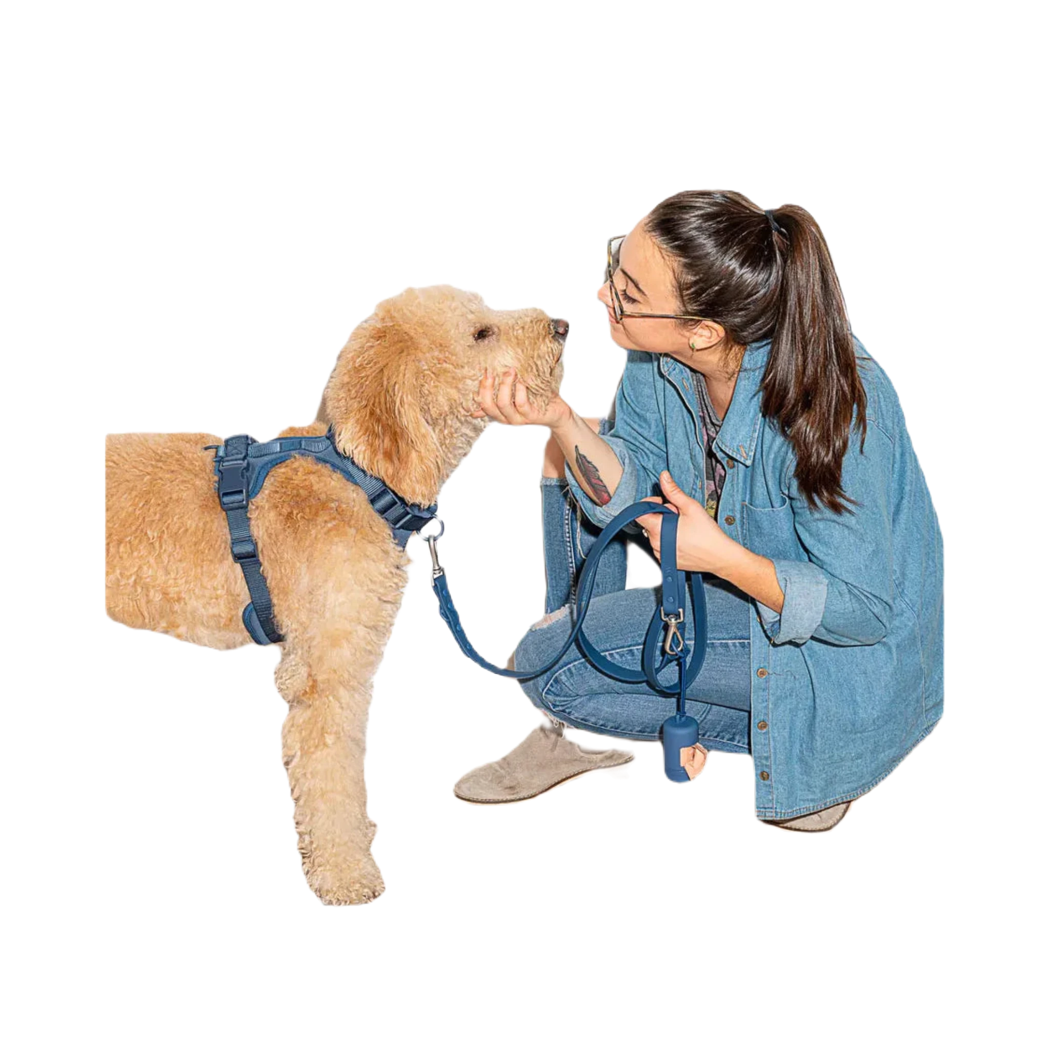 The Wild One Dog Poop Bag Dispenser Holder in Navy features a strap and dispenses eco-friendly beige bags from the side, making it a perfect leash accessory for carrying poop bags on walks.