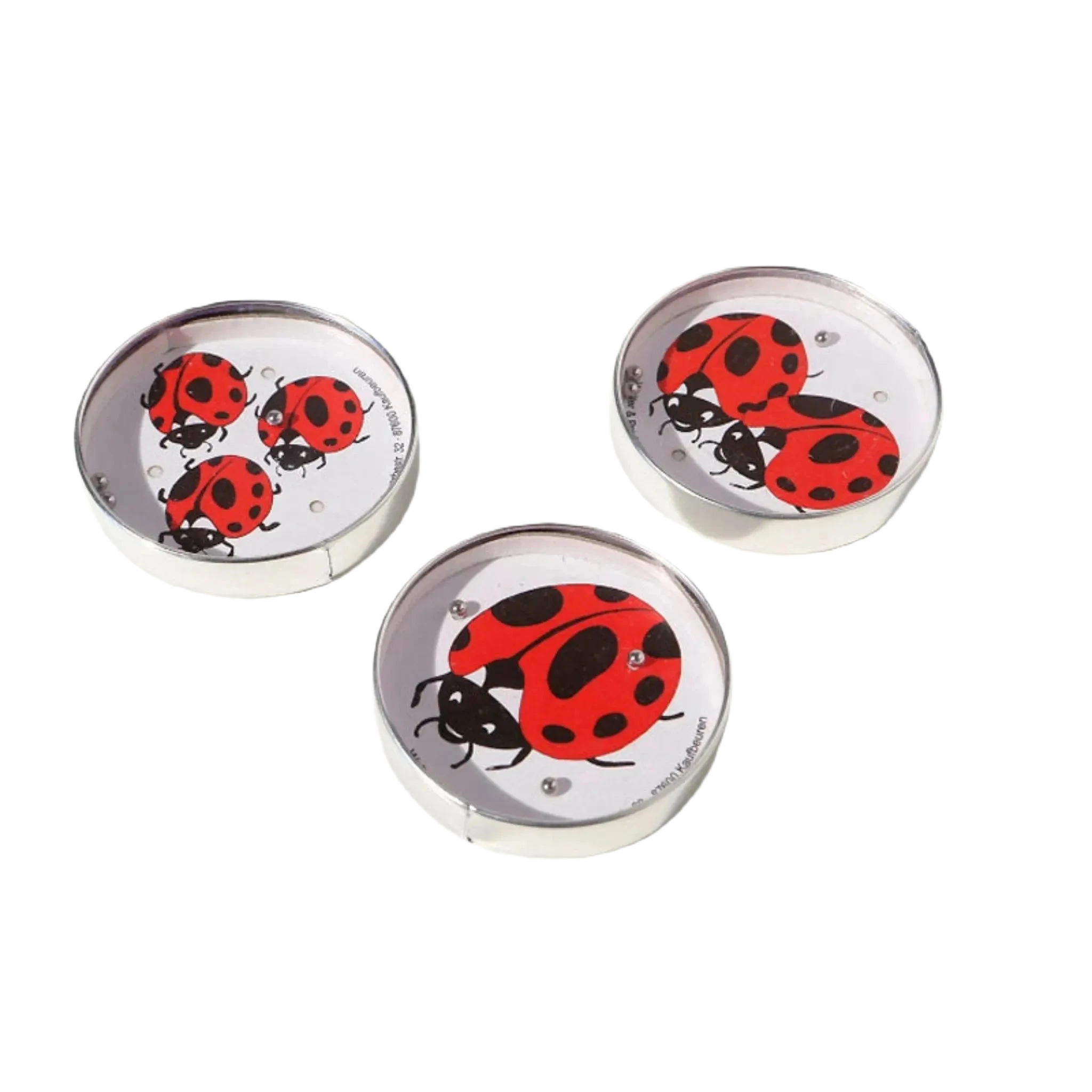 Three small circular containers with red ladybug illustrations on white backgrounds, placed on a white surface, call out to puzzle enthusiasts. One of them cleverly holds a hidden Die Blechfabrik e.K Ladybird Puzzle Ball Maze (Random) game inside.