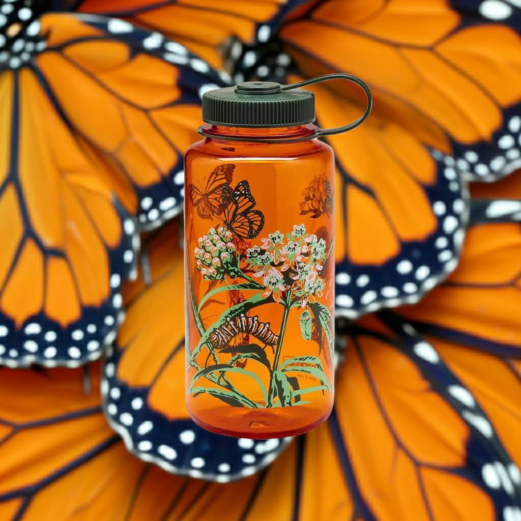 Forager Provisions LTD 32oz wide mouth Nalgene water bottle featuring a Monarch butterfly illustration on orange Tritan