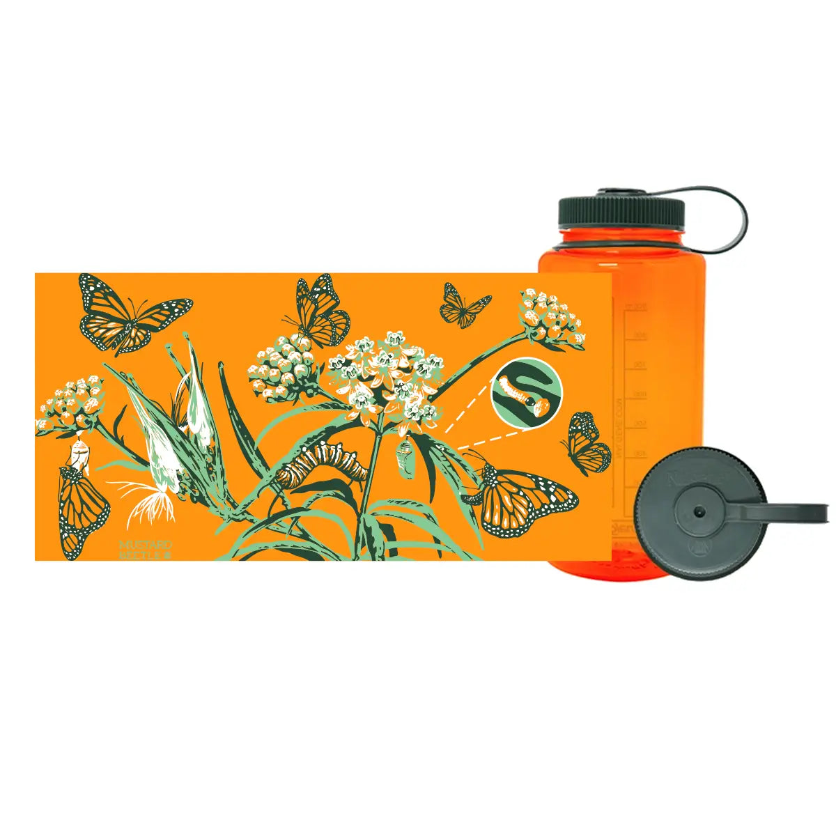 Forager Provisions LTD 32oz orange Nalgene water bottle featuring a detailed Monarch butterfly life cycle illustration.