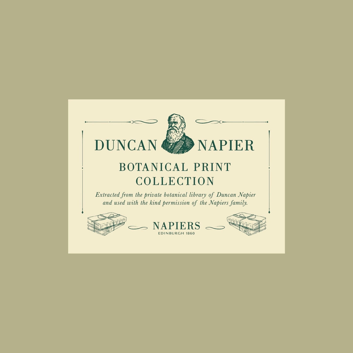 Eco-friendly A3 Punica Granatum botanical print by Napiers, recycled art ideal for stylish sustainable home decor lovers.