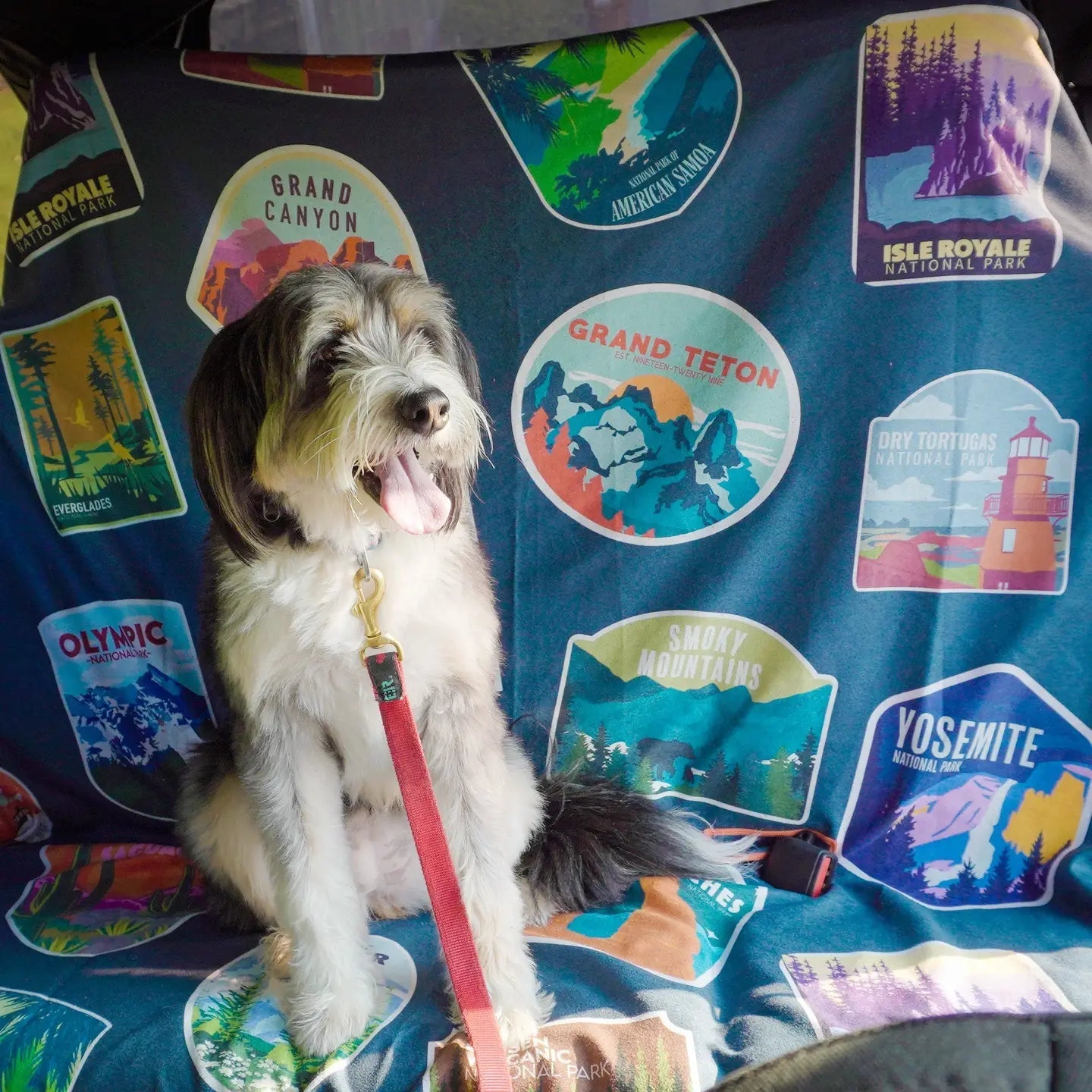 Forager Provisions LTD Sprints car seat towel with National Parks print featuring a dog sitting on the blue fabric