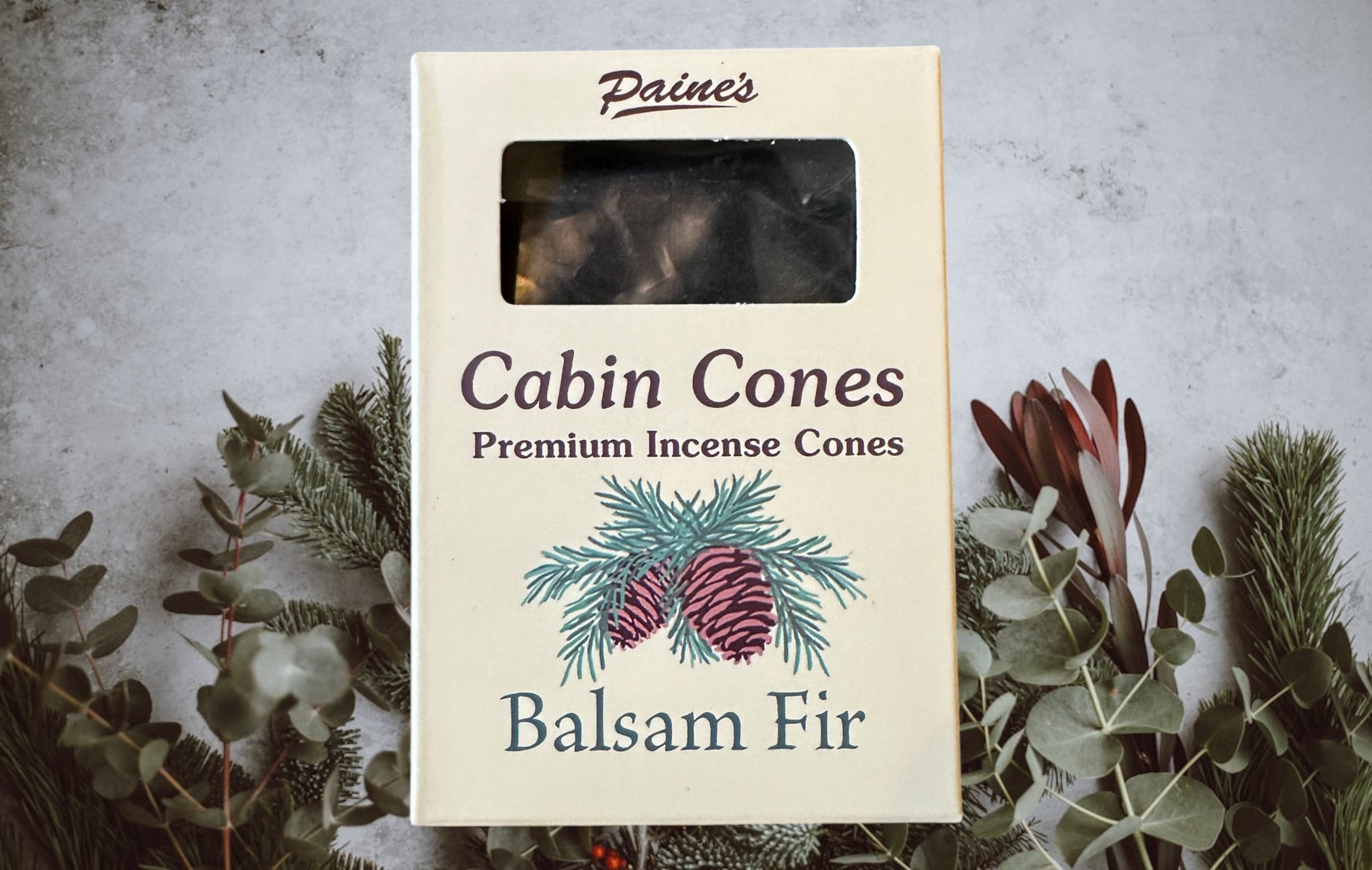 Paines Balsam Fir Premium Incense Cones box (25 cones, New 2025) displayed on gray with lush greenery for natural aroma.