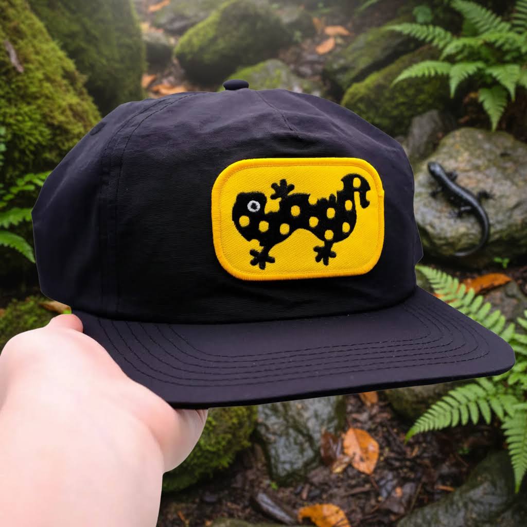 Forager Provisions LTD Camp Mustelid black cotton cap with a yellow embroidered spotted salamander patch