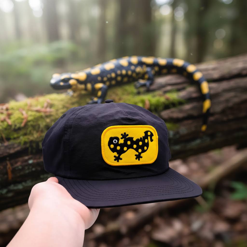 Camp Mustlelid Spotted Salamander Patch Cap
