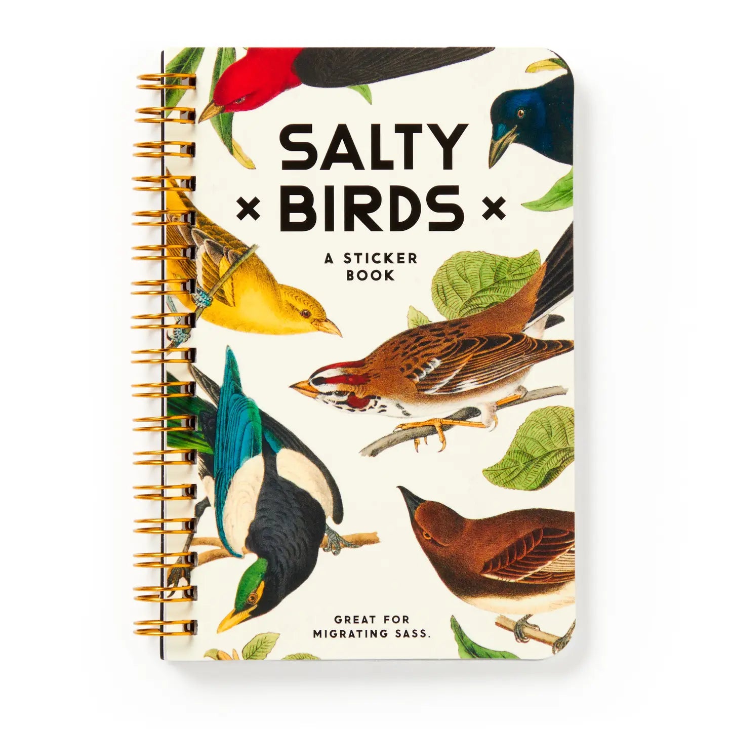 The Salty Birds Sticker Book by Brass Monkey—colorful spiral cover with sassy bird stickers and green leaf designs for fun crafting.