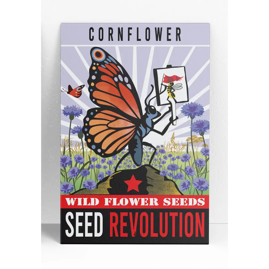 Seed Revolution Wildflower Cornflower Seed Packets