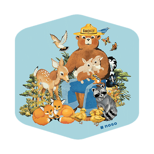 Smokey Bear Forest Friends x NoSo Repair Patch