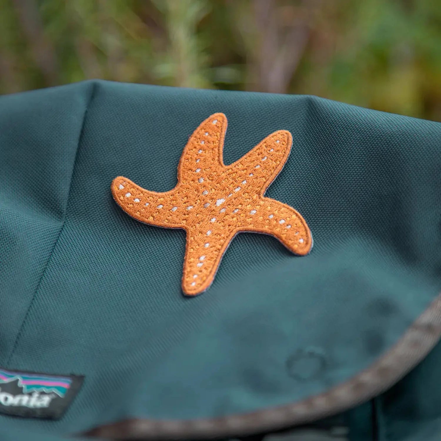 Ochre sea star mustard beetle patch on dark green Patagonia backpack; trendy iron-on accessory for outdoor gear.