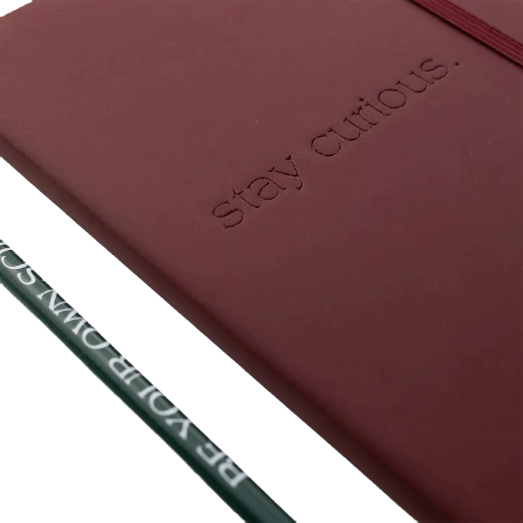 The Stemcell Science Shop's "Stay Curious Journal & Pencil Set," featuring a maroon, hardcover notebook with "stay curious" embossed on the cover—ideal for an observation journal—sits next to a green pencil inscribed with "BE YOUR OWN SCARS.