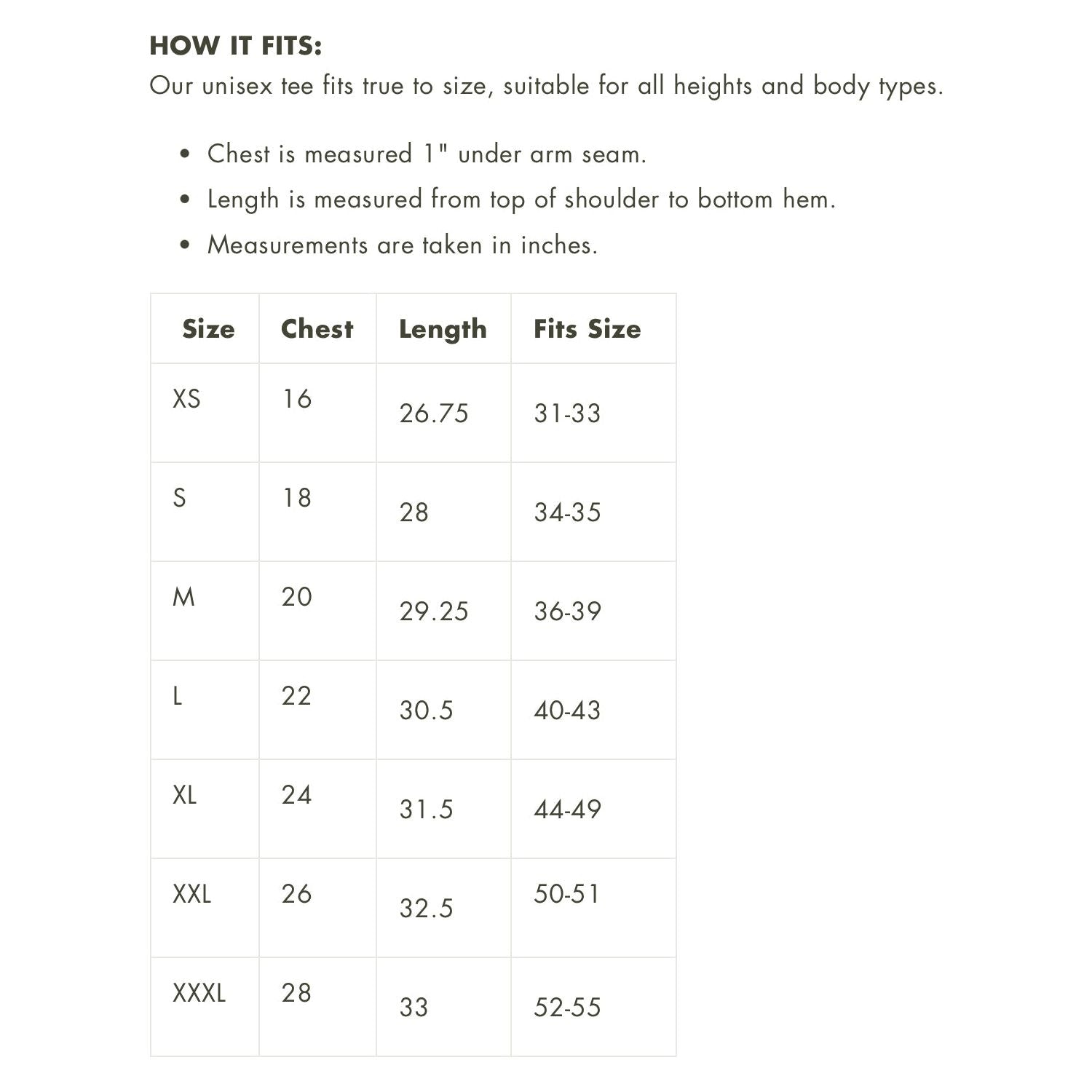 A guide showcasing the sizes in inches for the t-shirt product