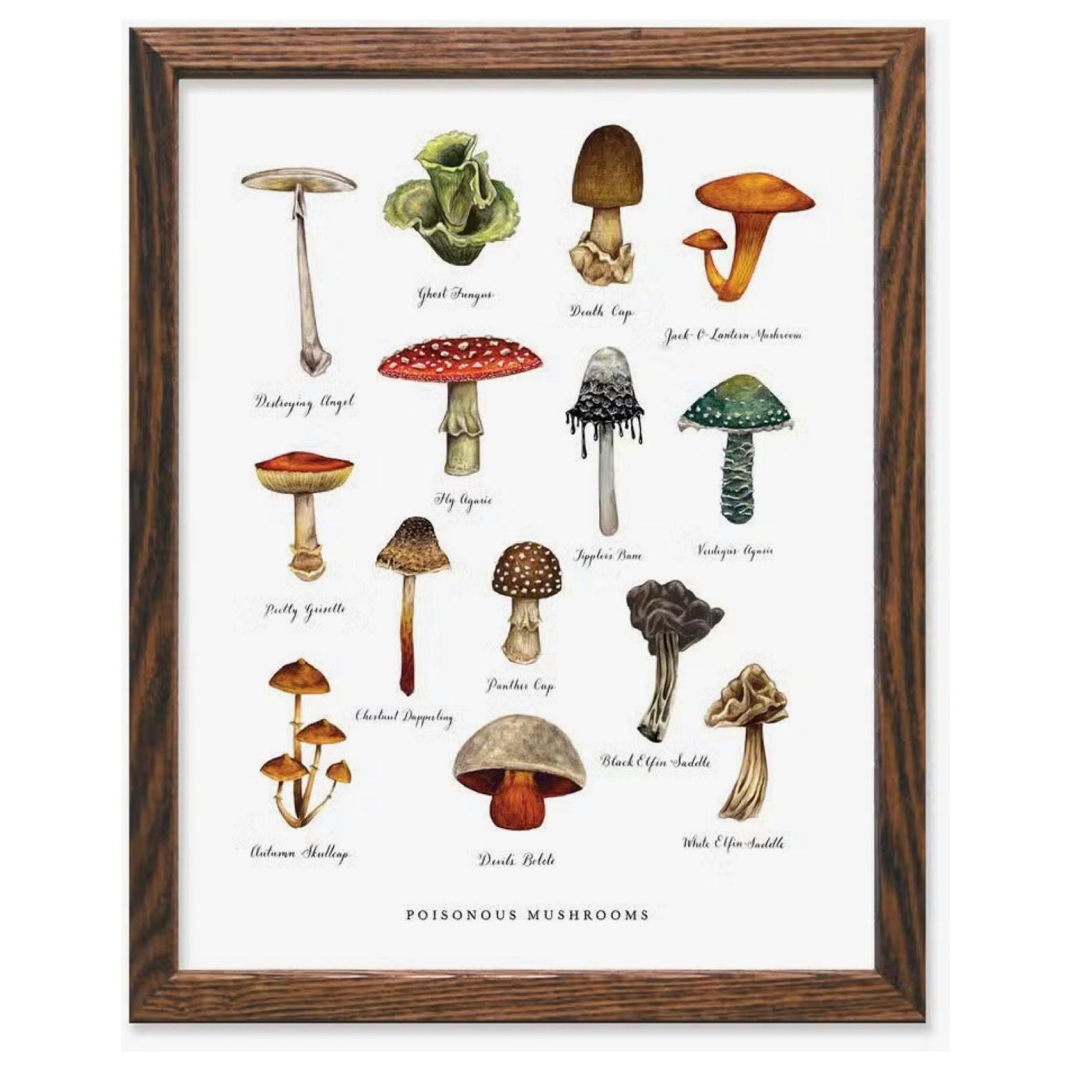 **The Wild Wander Poisonous Mushroom Field Guide Print (11x14)** features a beautifully framed illustration of various poisonous mushrooms with their names, and the title "Poisonous Mushrooms" is elegantly hand-lettered at the bottom in a chart format.