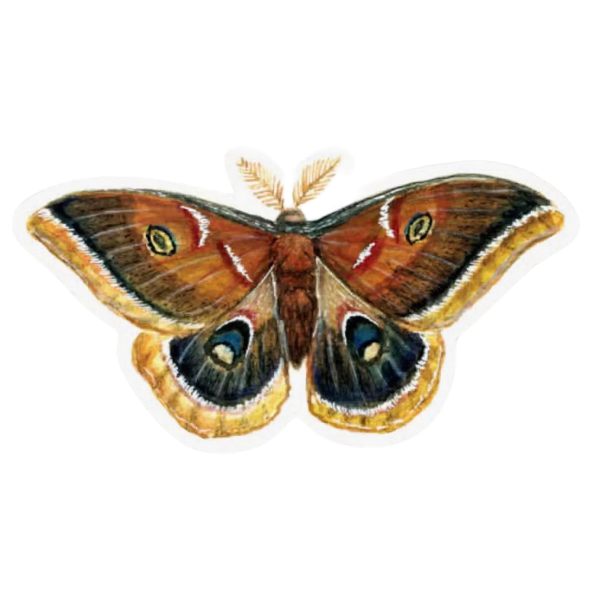 Introducing The Wild Wander Polyphemus Moth Sticker: A detailed vinyl sticker featuring an illustration of a moth with patterned wings in shades of brown, orange, and yellow, complete with distinct eye-like markings.