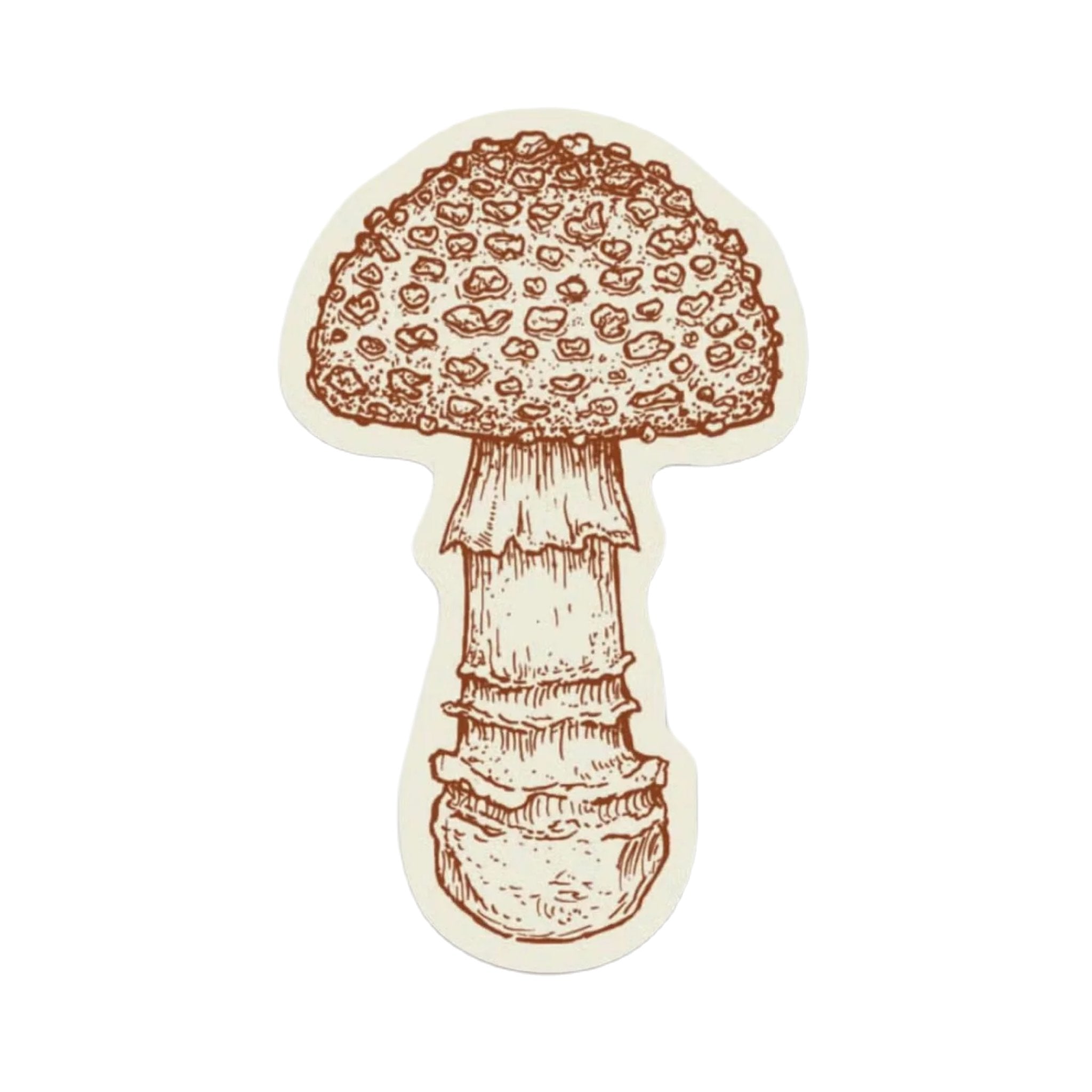 The Wild Wander Spotted Mushroom Sticker features an illustration of a mushroom with a textured cap and detailed stem, drawn in brown ink on a white background. This durable design is perfect for vinyl stickers, making it ideal for outdoor-rated applications.