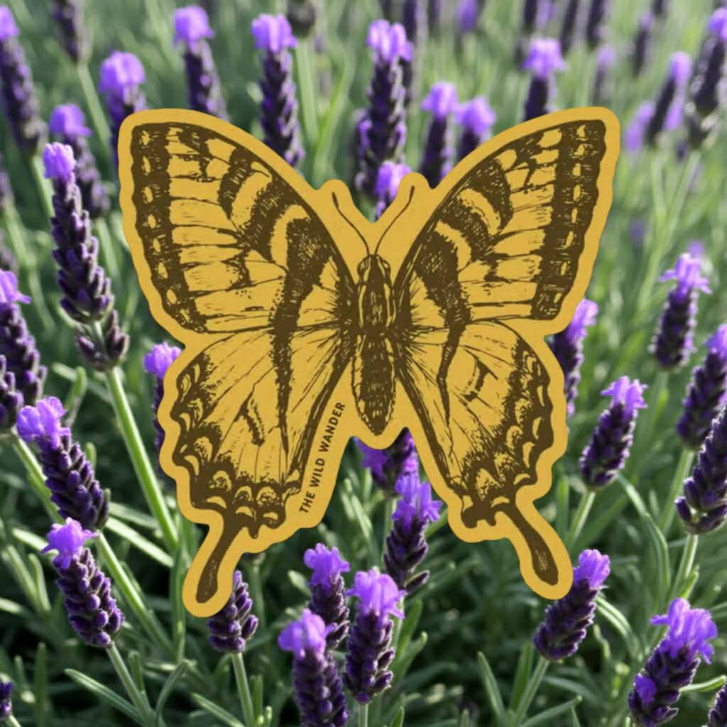 Forager Provisions LTD swallowtail butterfly sticker with detailed gold illustration on a purple lavender background