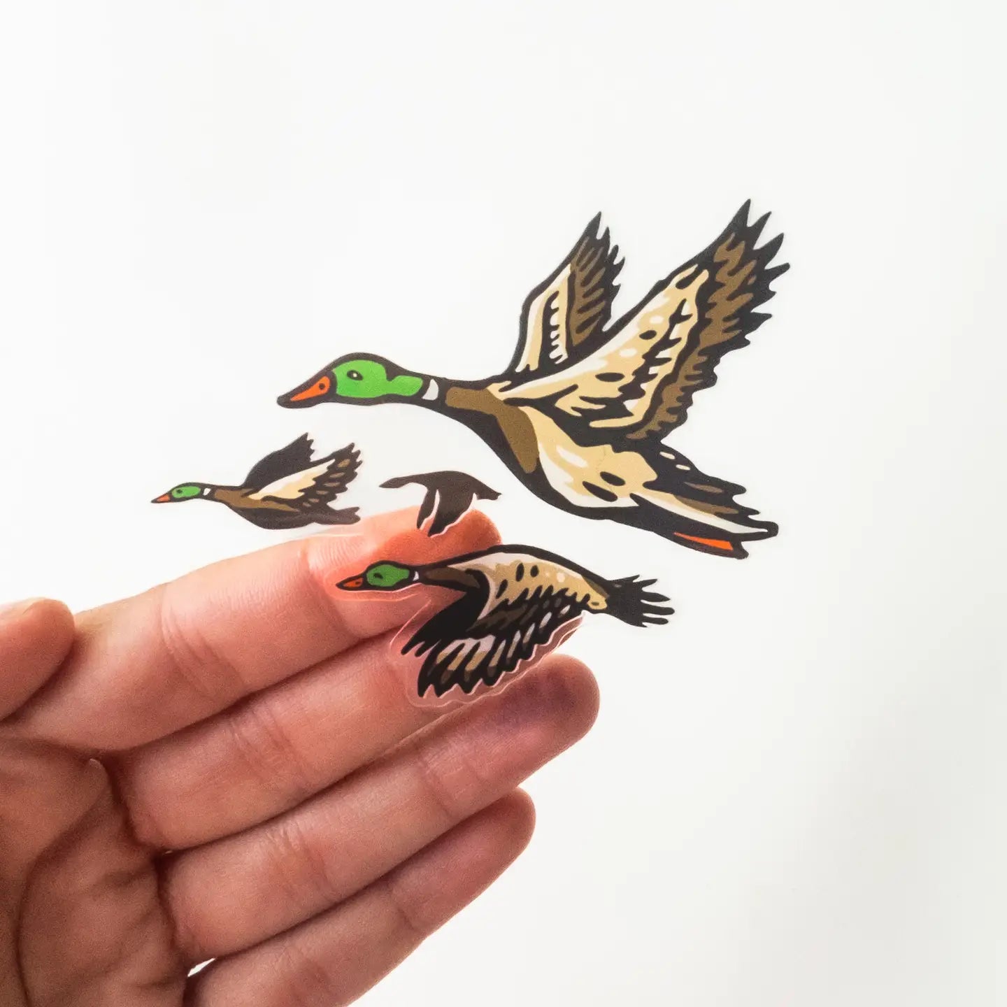 Hand holds Union Made flying mallard duck clear vinyl stickers in assorted sizes on a white background, perfect for water bottles.