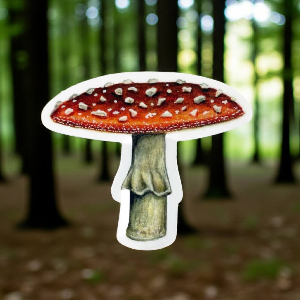 Forager Provisions LTD red cap mushroom sticker with white spots on a forest background