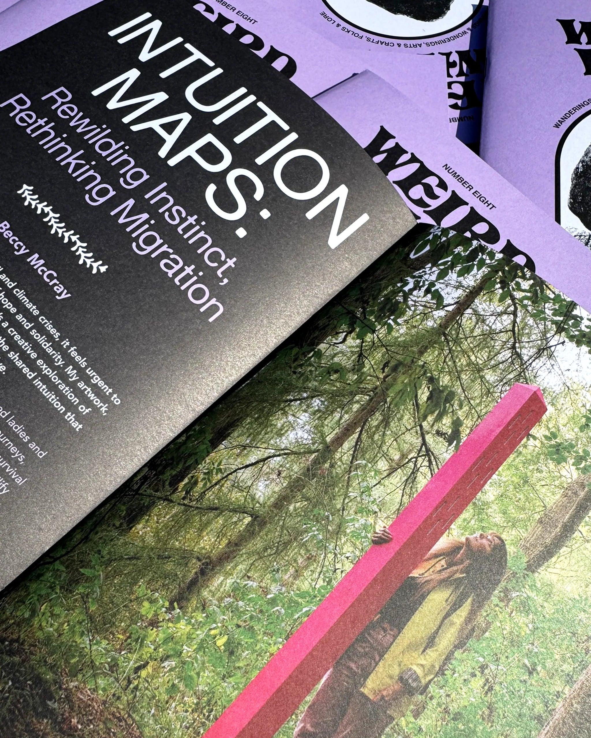 Weird Walk Zine Issue 8 cover: person explores sacred landscape outdoors with tall pink object, alternative culture magazine.