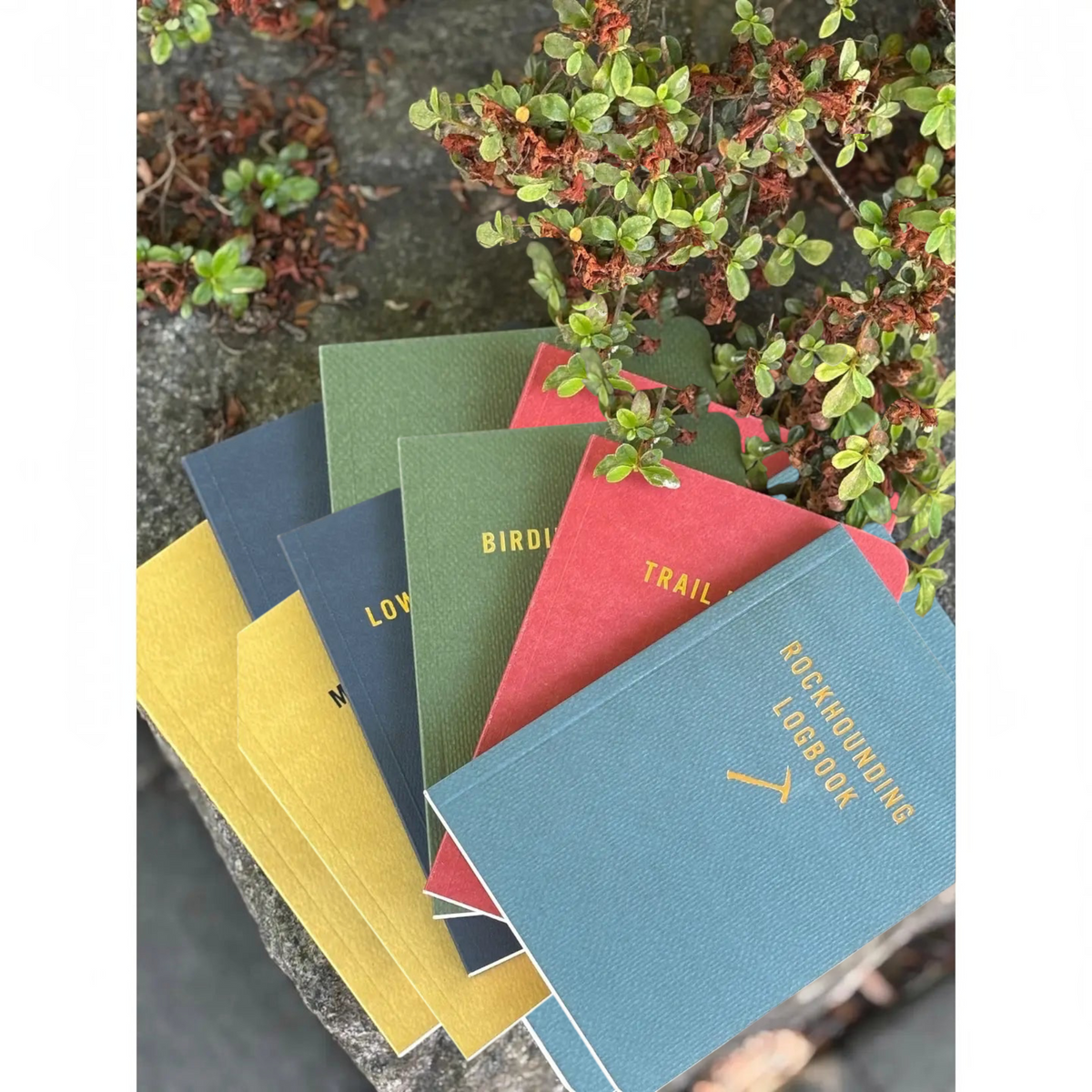 Forager Provisions LTD collection of colorful Mountaineers Books logbooks including the Low Gravity Days climbing notepad