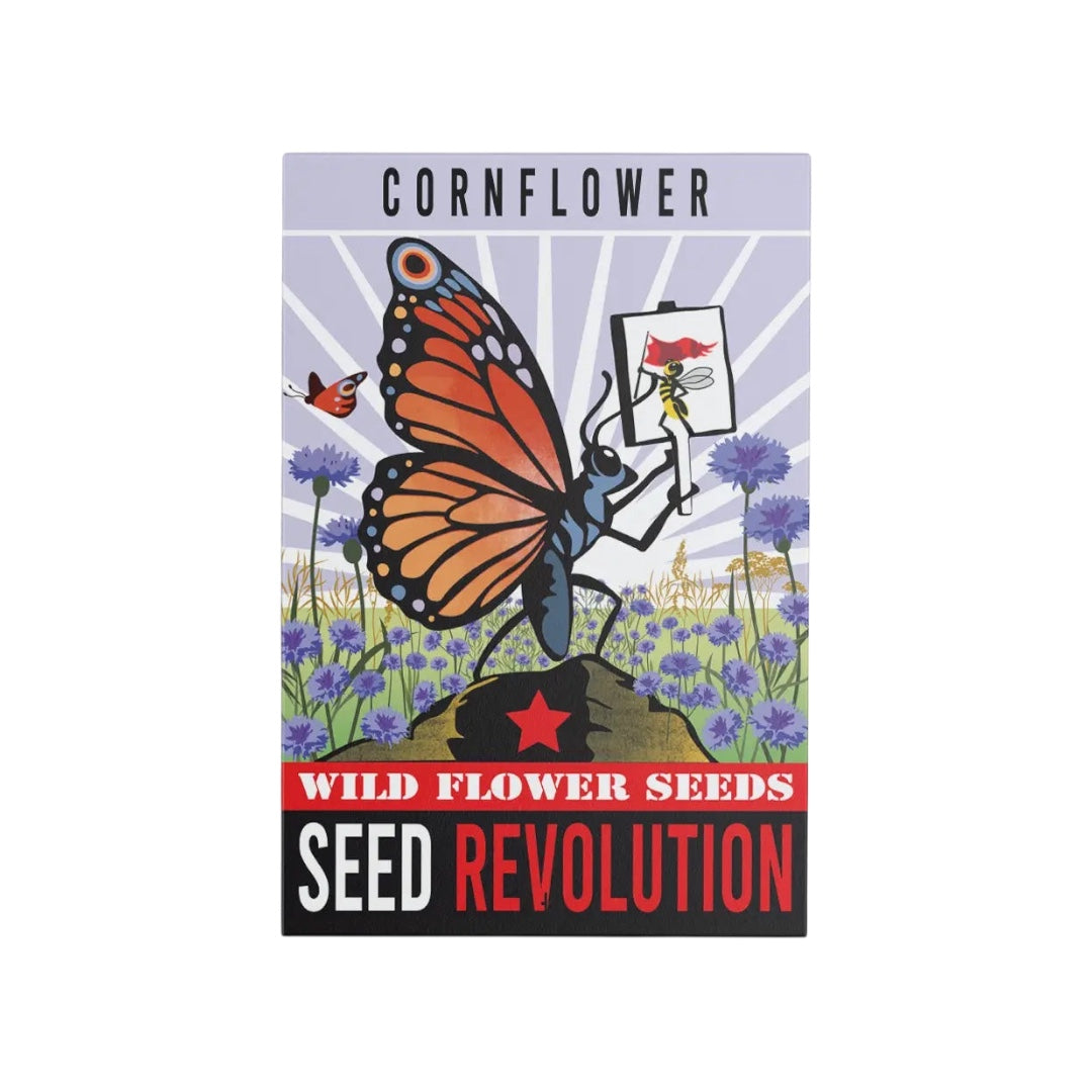 Forager Provisions LTD Seed Revolution cornflower seed packet featuring a butterfly illustration and blue flowers