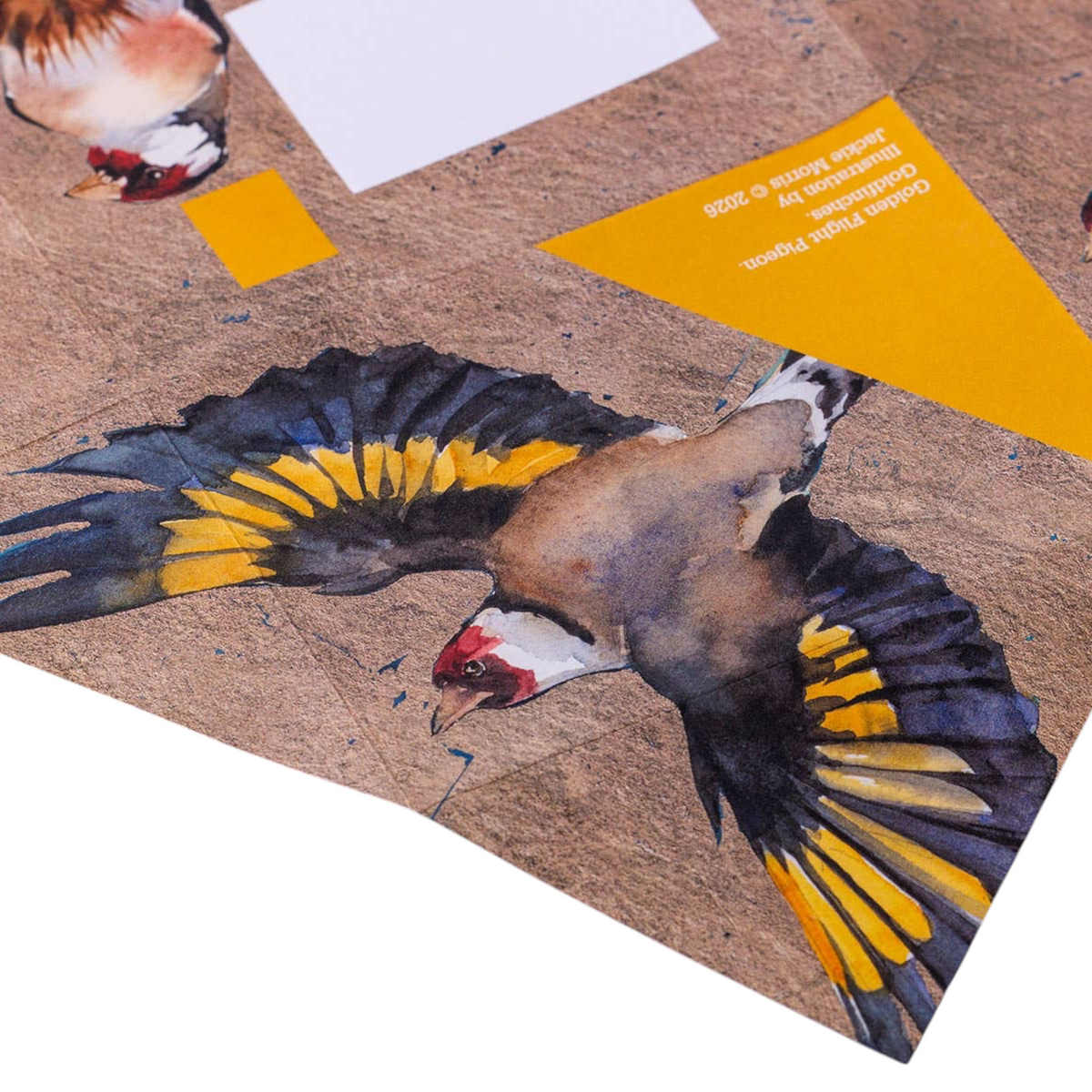 Forager Provisions LTD Golden Flight Pigeon folding letter stationery featuring detailed watercolor bird illustration