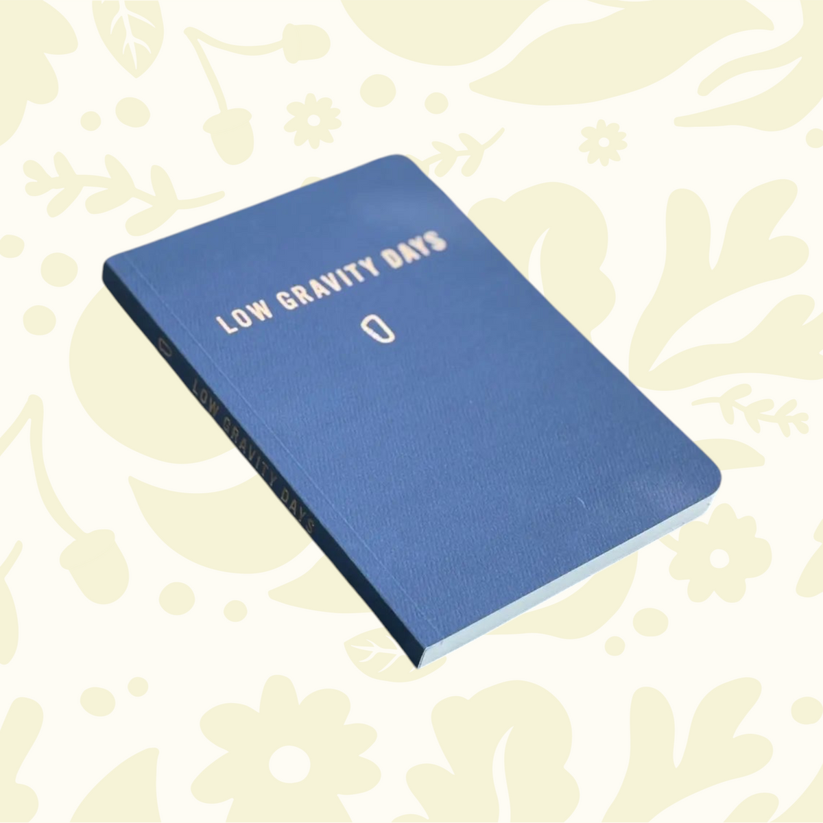 Forager Provisions LTD Low Gravity Days blue climbing logbook notepad for tracking routes and gear