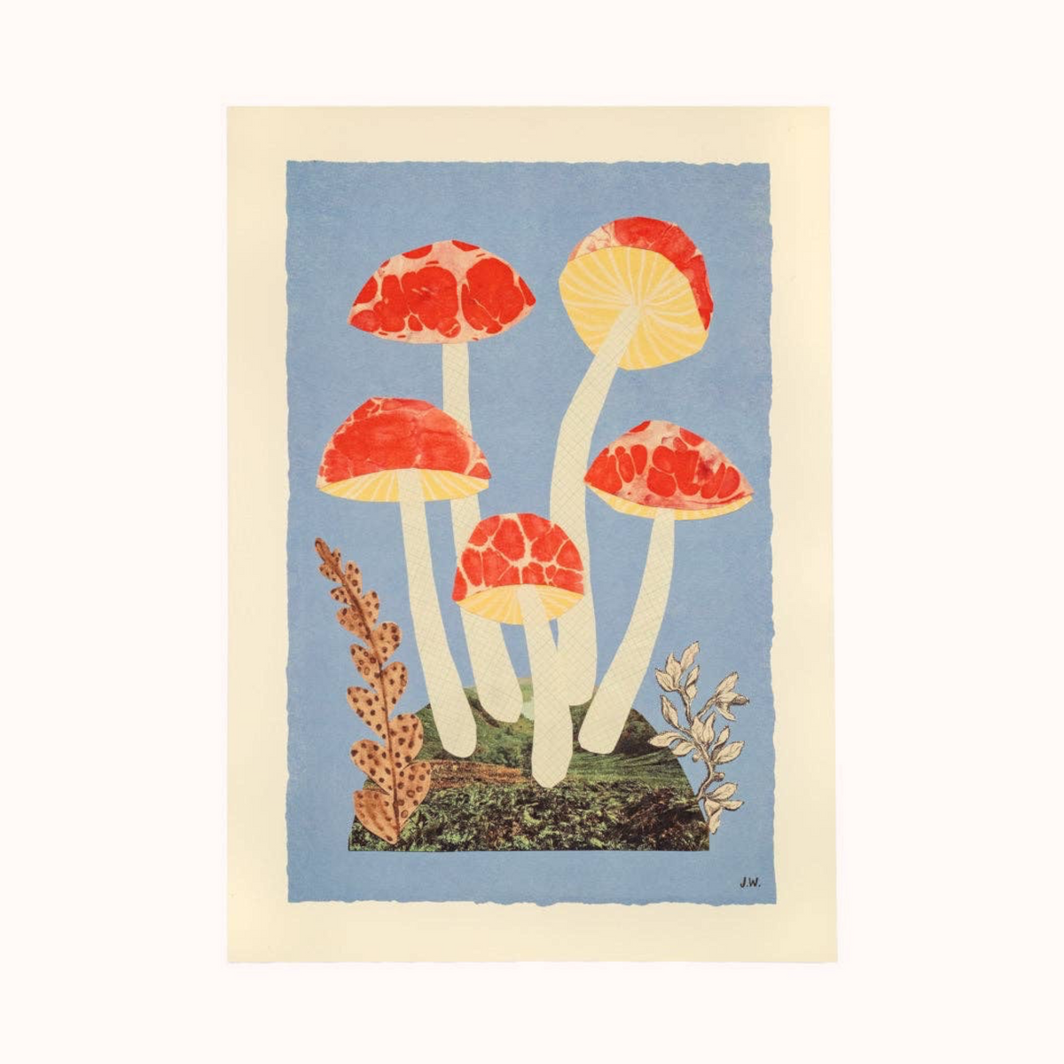 Forager Provisions LTD A3 art print featuring red and blue mushroom illustrations in a cottagecore woodland style.