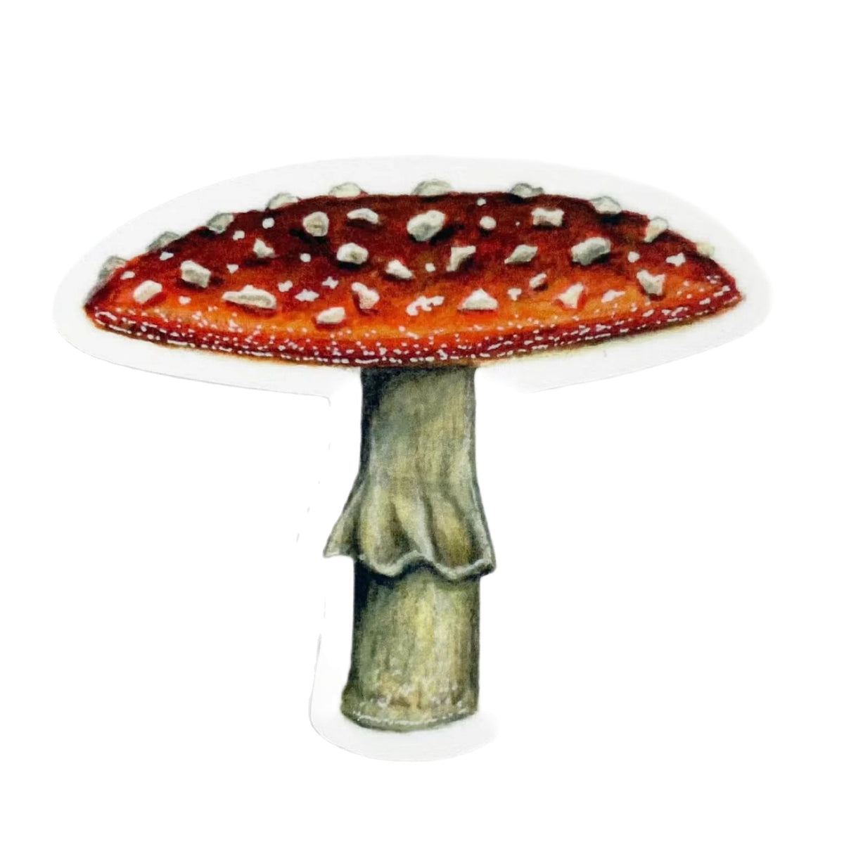 Forager Provisions LTD red cap mushroom sticker with white spots on durable outdoor vinyl for laptops and bottles