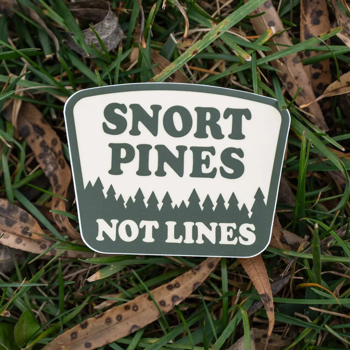 Hey Bear Outdoors “Snort Pines Not Lines” sticker—pine tree vinyl decal for hiking gear, outdoor lovers, and nature fans.