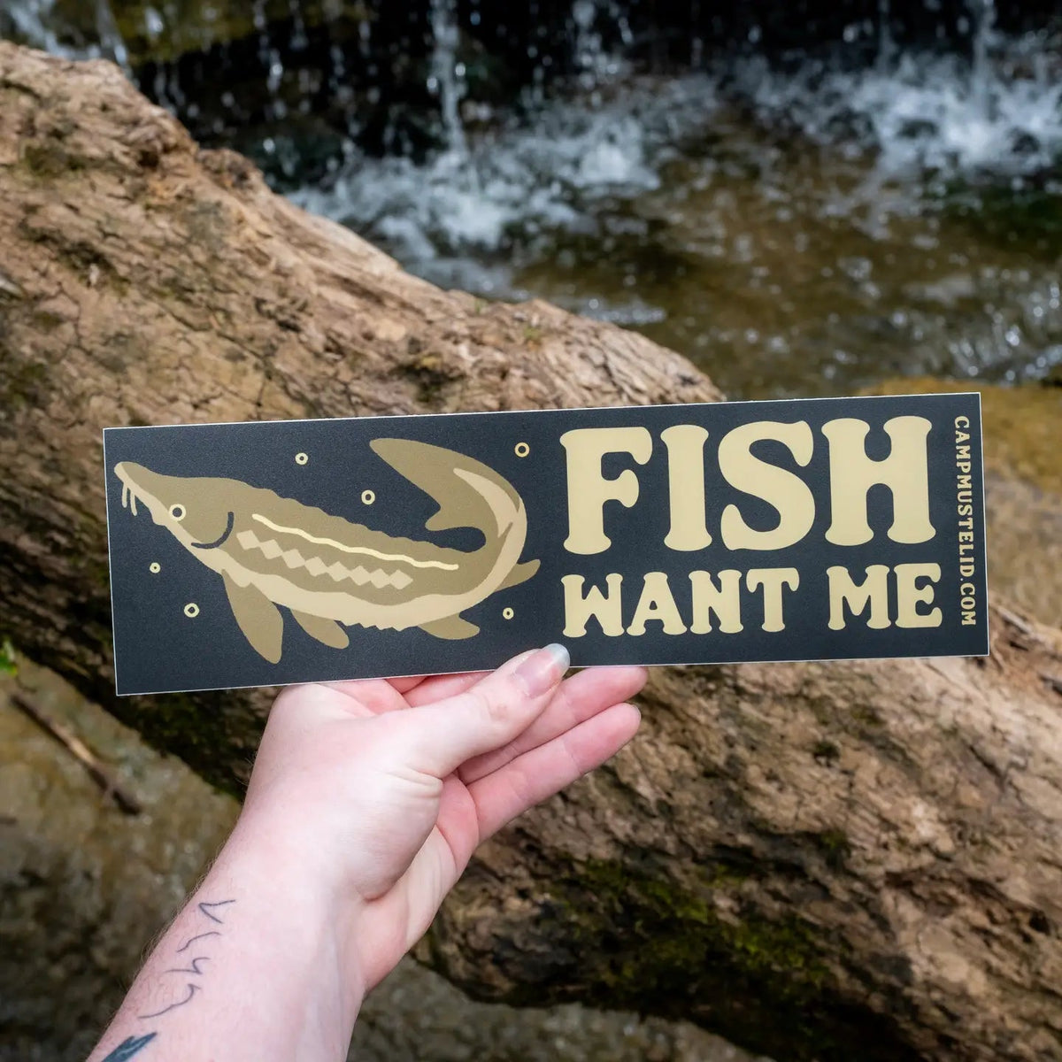 Forager Provisions LTD Camp Mustelid vinyl bumper sticker with a sturgeon illustration and Fish Want Me text