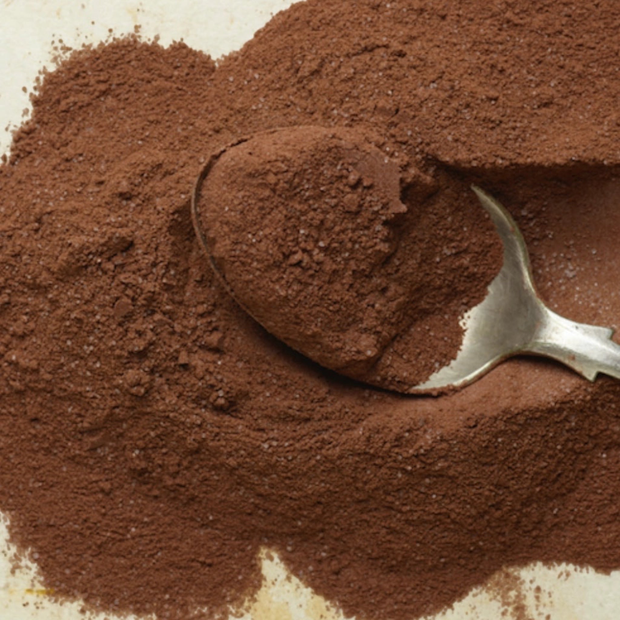 Forager Provisions LTD Harth Original vegan hot chocolate powder with a silver spoon on a textured surface