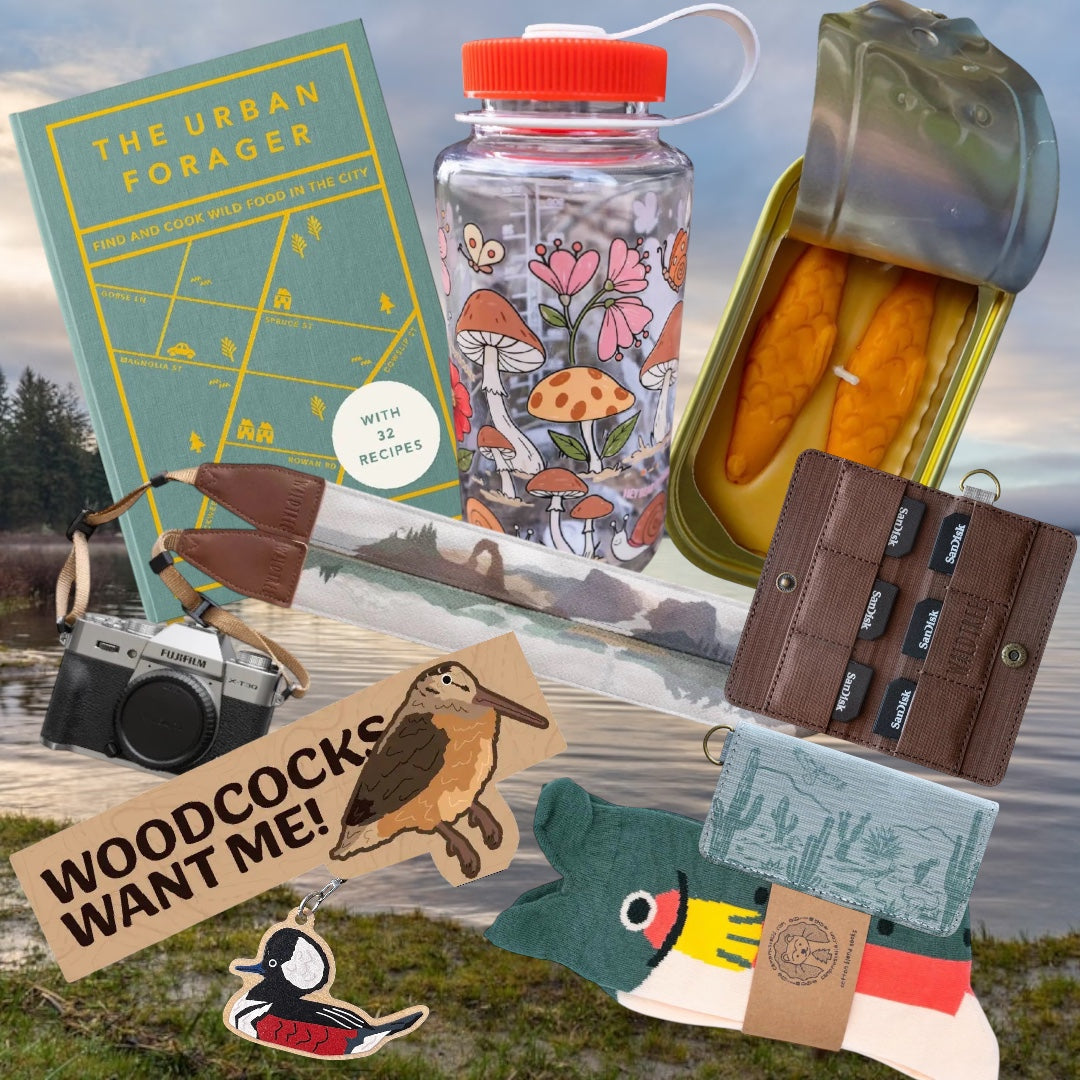 Spring Drop Edit: Fresh Finds at Forager Provisions (2026)