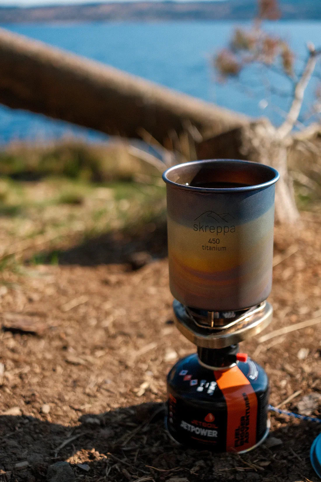 Whats New at Forager Provisions: Your Essential Q and A Guide